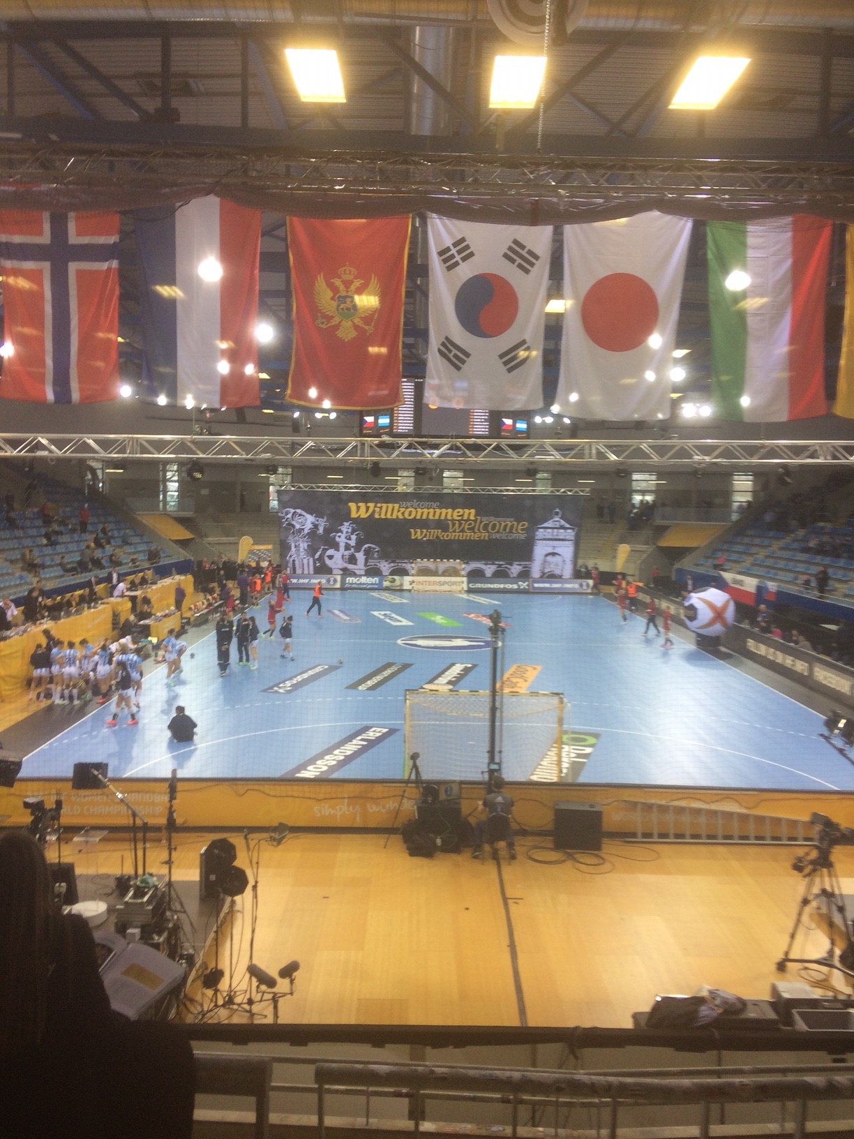 Die Handball-WM der Frauen im eigenen Land live erleben! HSG Bruchsal/Untergrombach